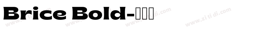 Brice Bold字体转换